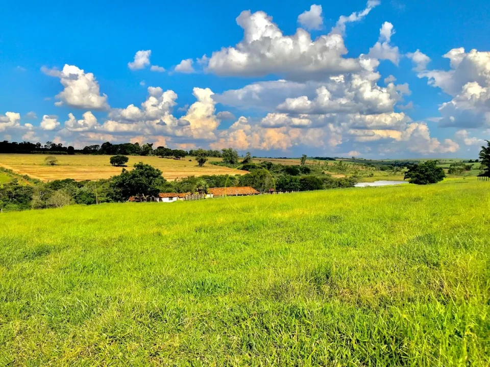 Imagens do imóveis FAZENDA - SANTA CRUZ DO RIO PARDO