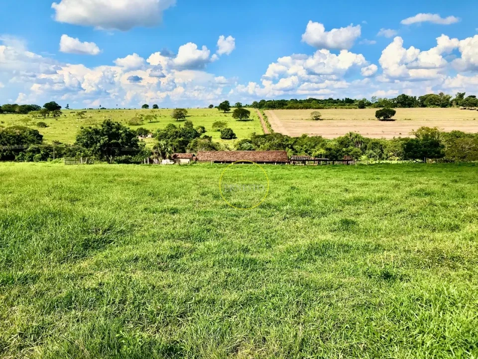 Imagens do imóveis FAZENDA - SANTA CRUZ DO RIO PARDO