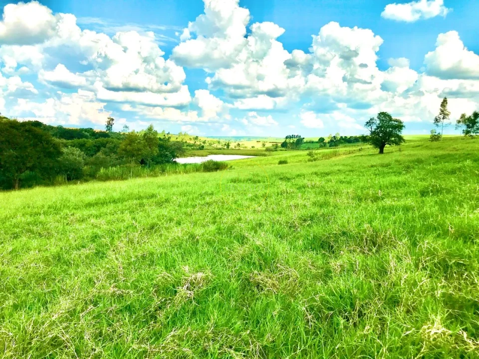 Imagens do imóveis FAZENDA - SANTA CRUZ DO RIO PARDO