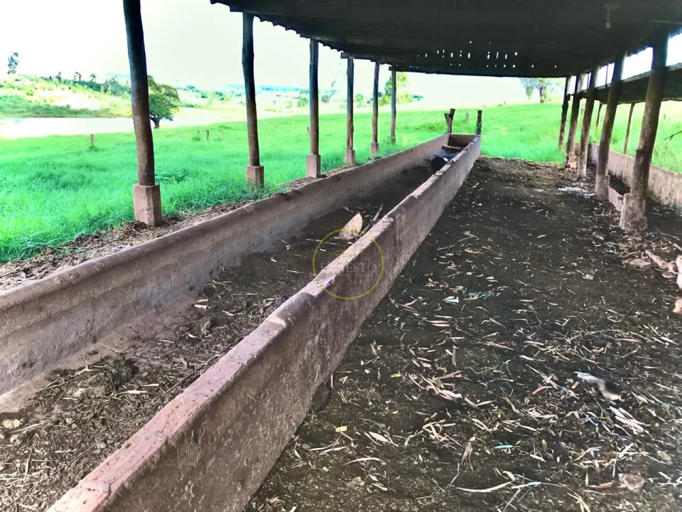 Imagens do imóveis FAZENDA - SANTA CRUZ DO RIO PARDO