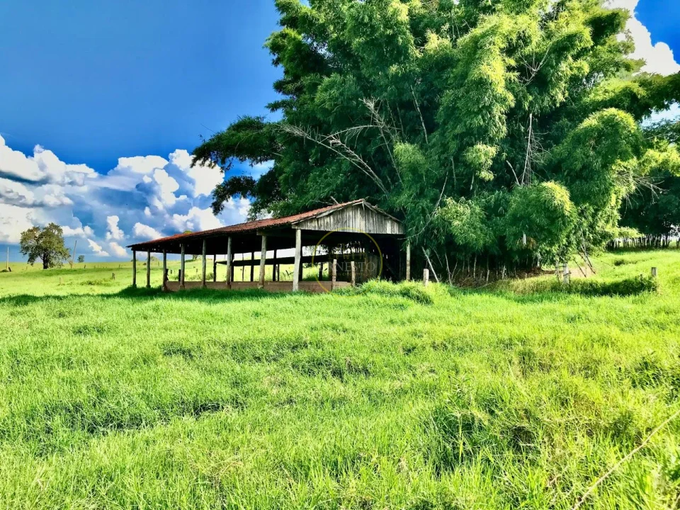 Imagens do imóveis FAZENDA - SANTA CRUZ DO RIO PARDO