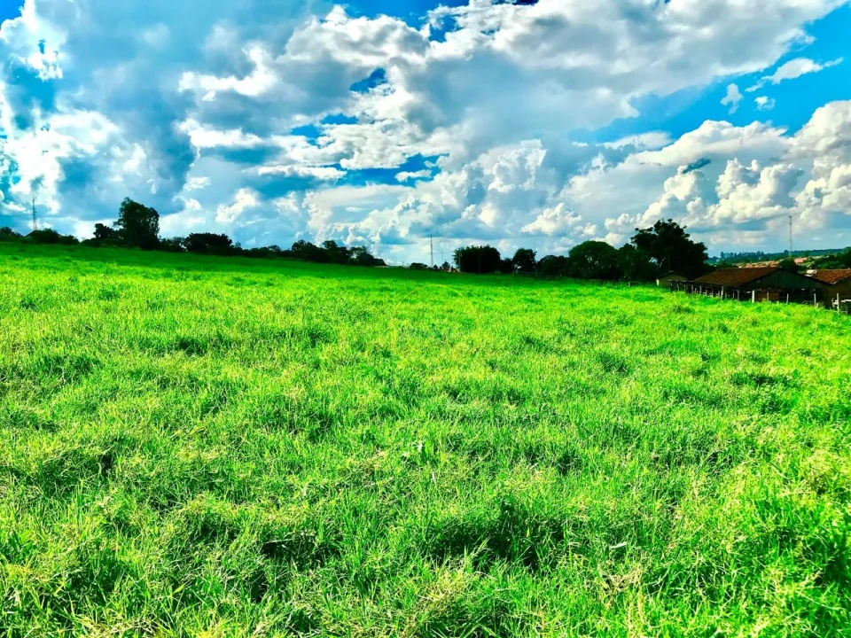 Imagens do imóveis FAZENDA - SANTA CRUZ DO RIO PARDO