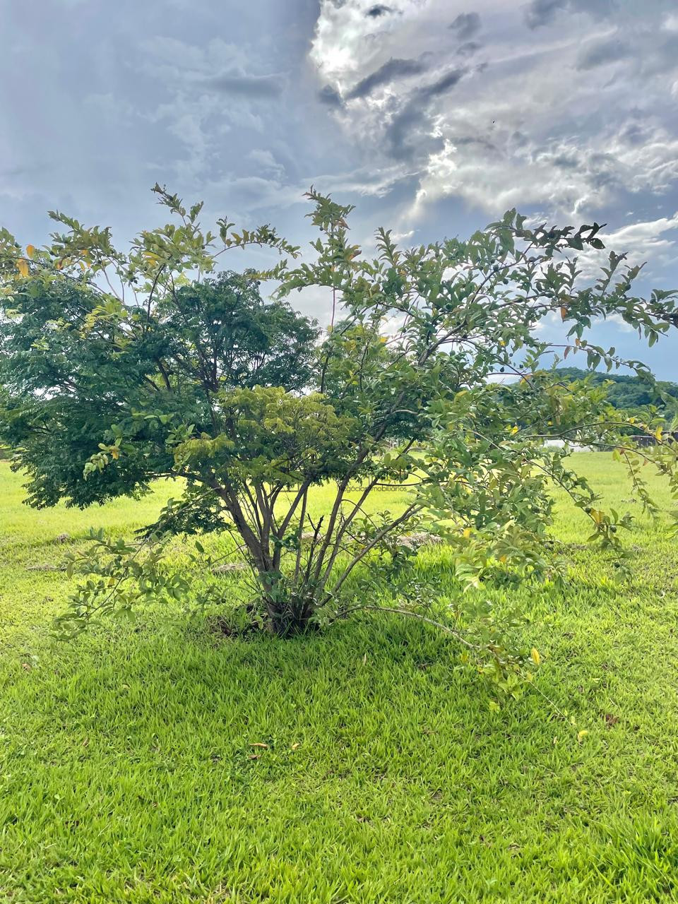 Imagens do imóveis ESTANCIA SANTA PAULA