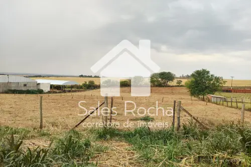 Fazenda/Sítios/Chácaras Á Venda Fazenda Laranjinha  Santa Mariana