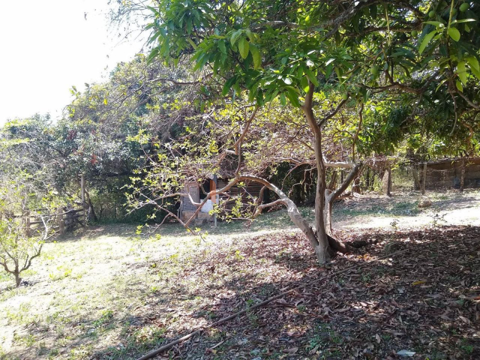 CHACARA Imagens do imóveis CHACARA
