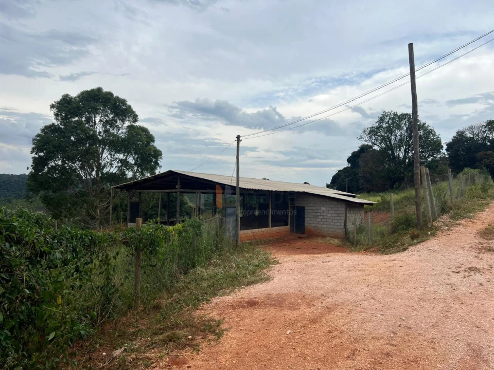 Imagens do imóveis Granja à venda!