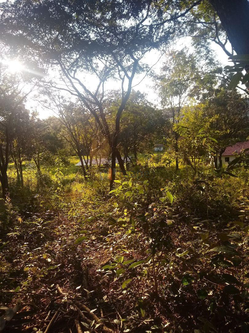 CHACARA Imagens do imóveis CHACARA