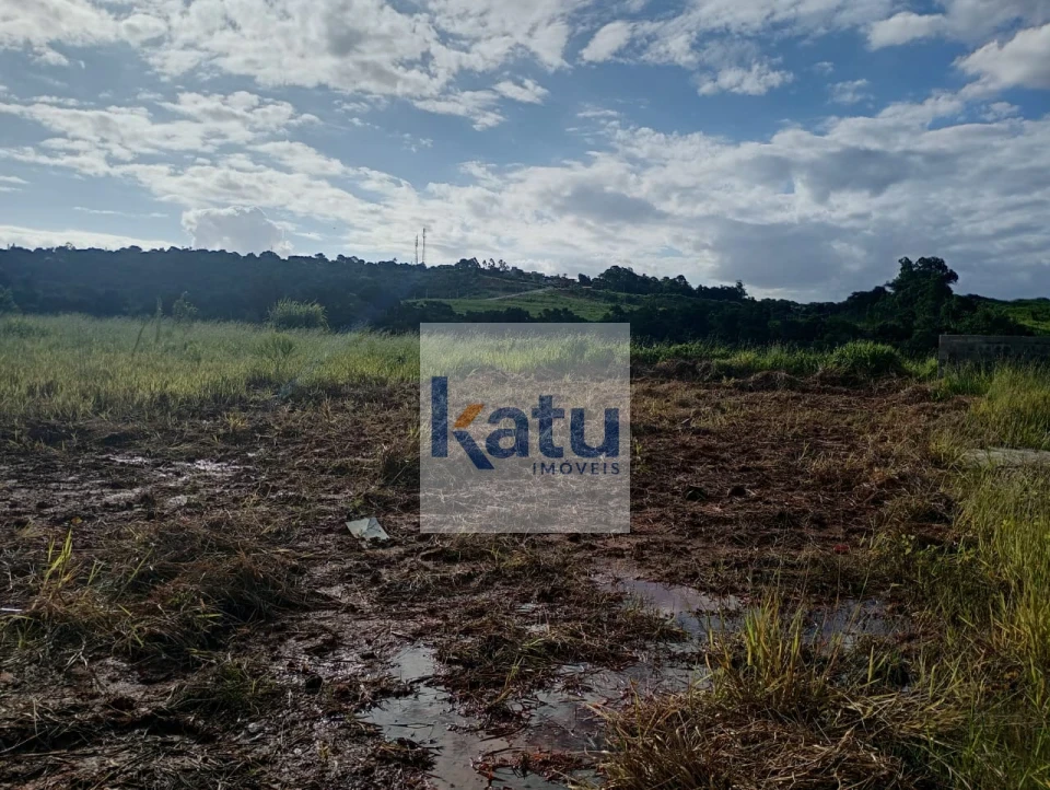 Terreno, 250 m² - Foto 9