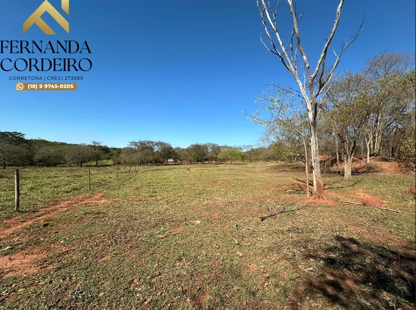 Imagens do imóveis Terreno À Venda Cinturão Verde Ilha Solteira