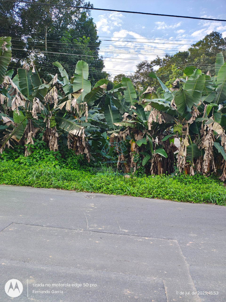 Terreno à venda no Anita Garibaldi, Joinville