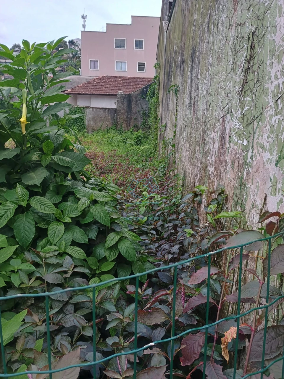 Terreno à venda no Floresta, Joinville