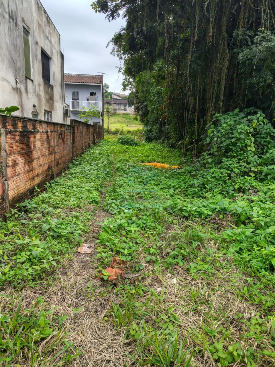 Terreno à venda em Santa Catarina, Joinville