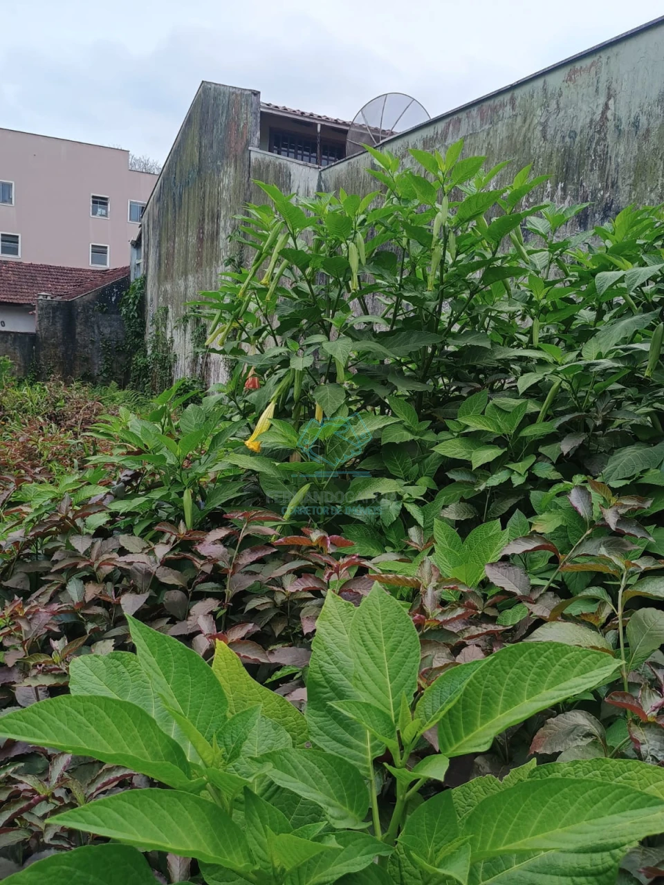 Terreno à venda no Floresta, Joinville