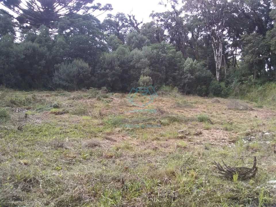 Chácara / sítio com 1 quarto à venda no Matulão, Tijucas do Sul