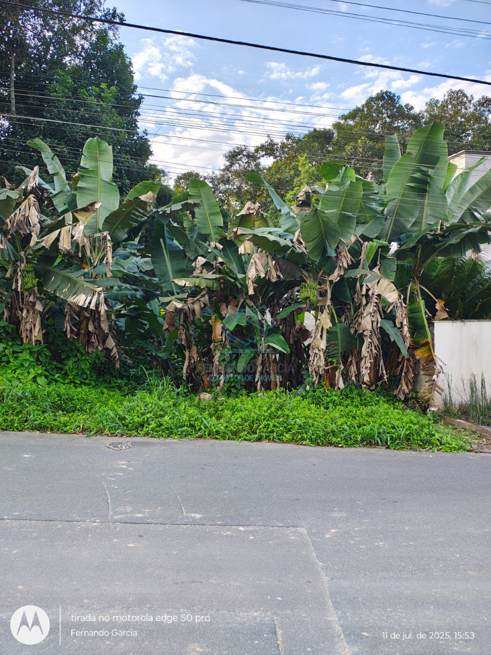 Terreno à venda no Anita Garibaldi, Joinville