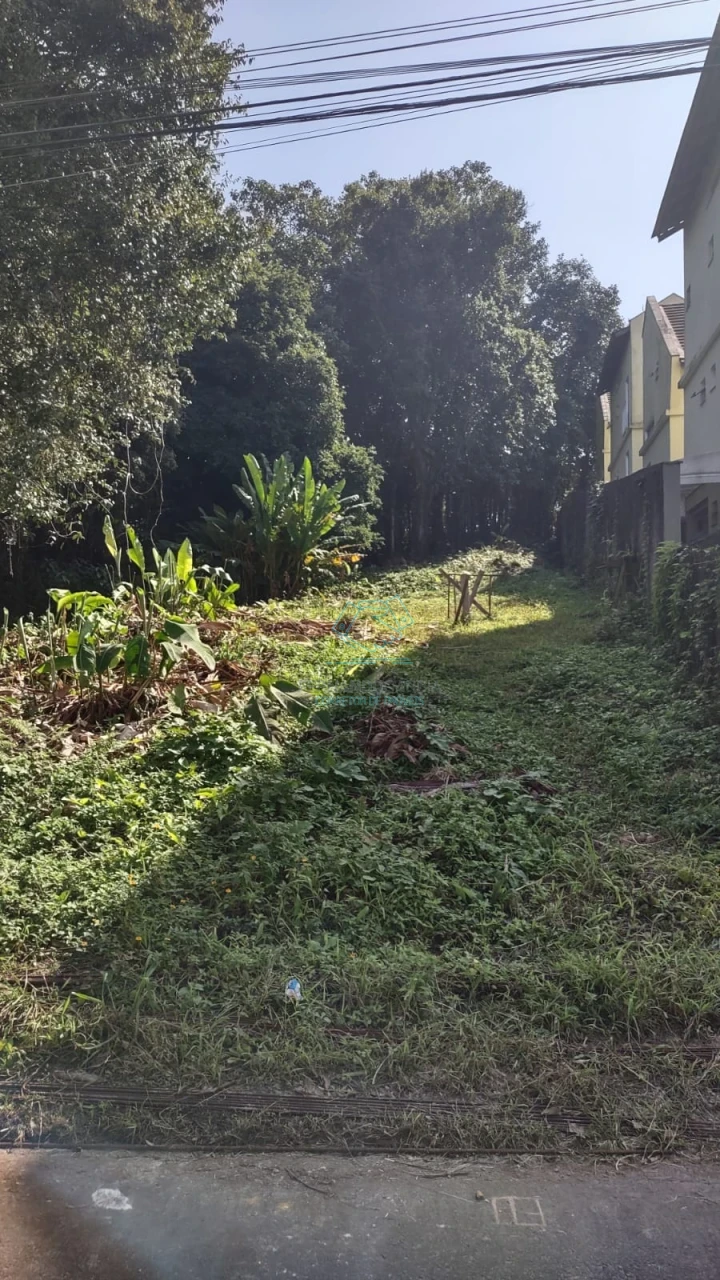 Terreno à venda no Anita Garibaldi, Joinville