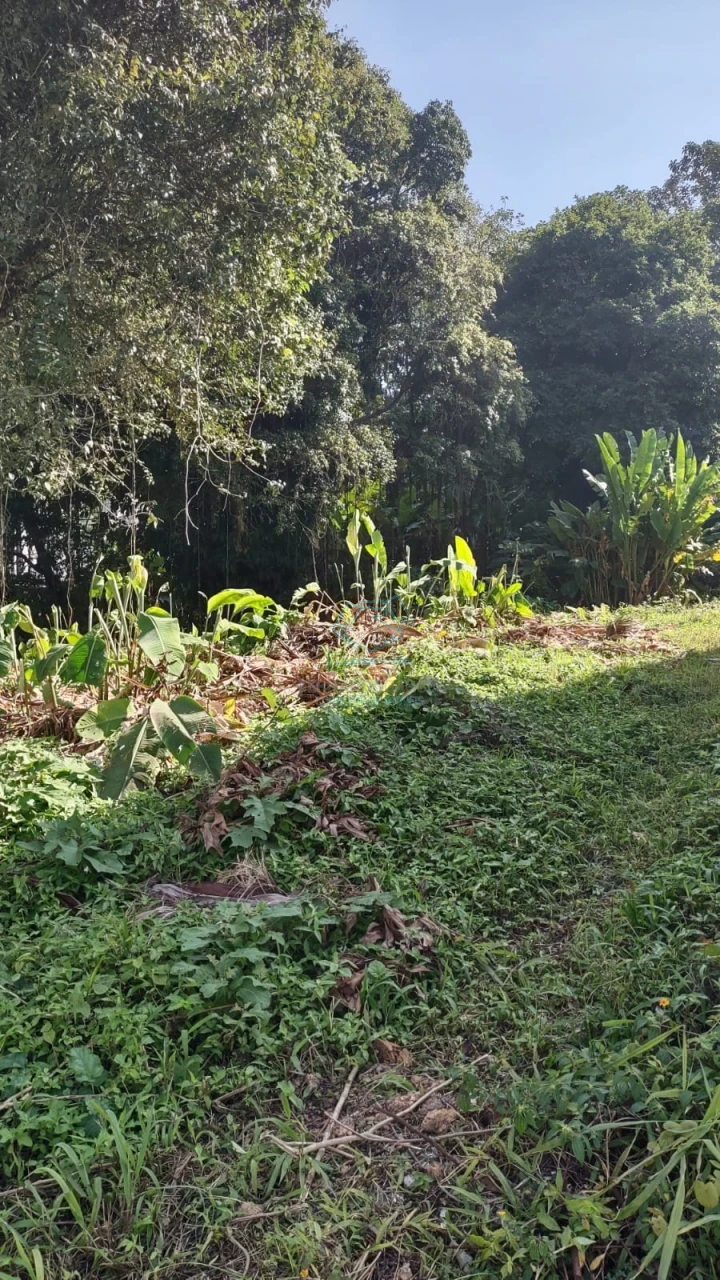 Terreno à venda no Anita Garibaldi, Joinville