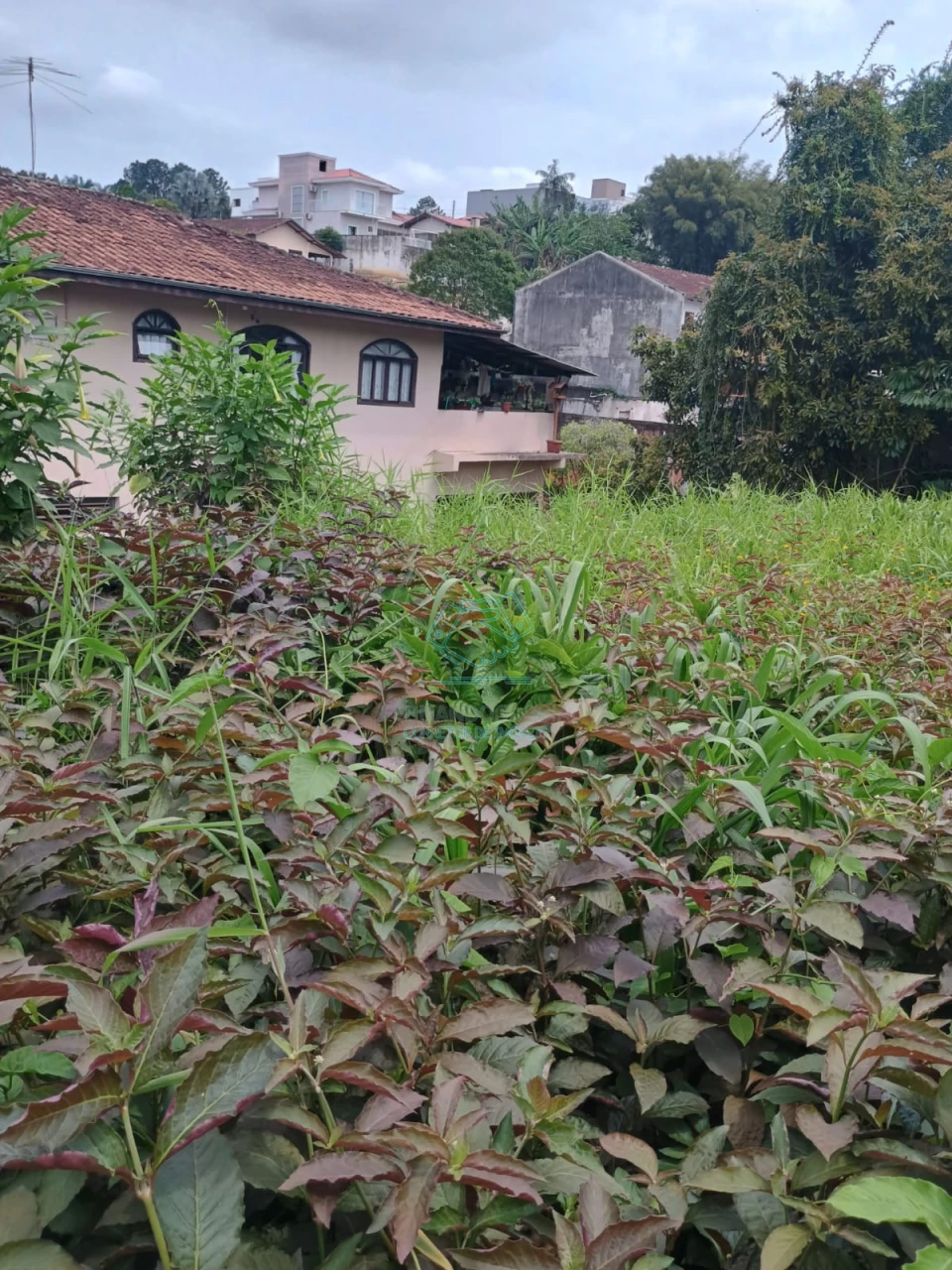 Terreno à venda no Floresta, Joinville