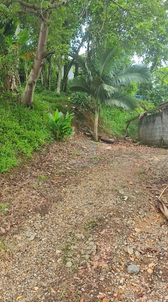 Terreno à venda no Boehmerwald, Joinville