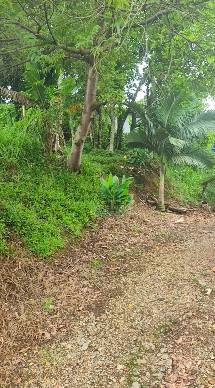 Terreno à venda no Boehmerwald, Joinville