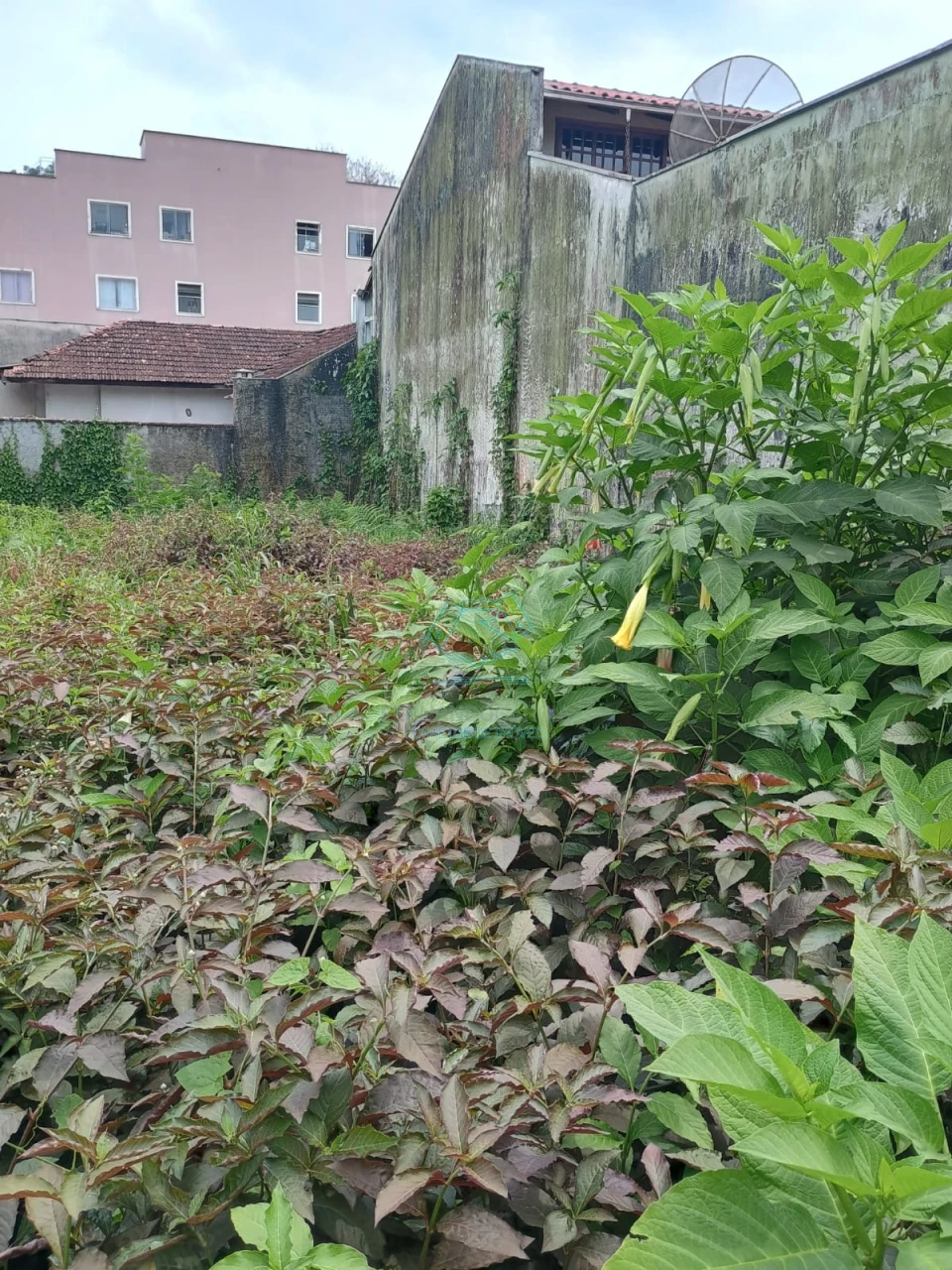 Terreno à venda no Floresta, Joinville