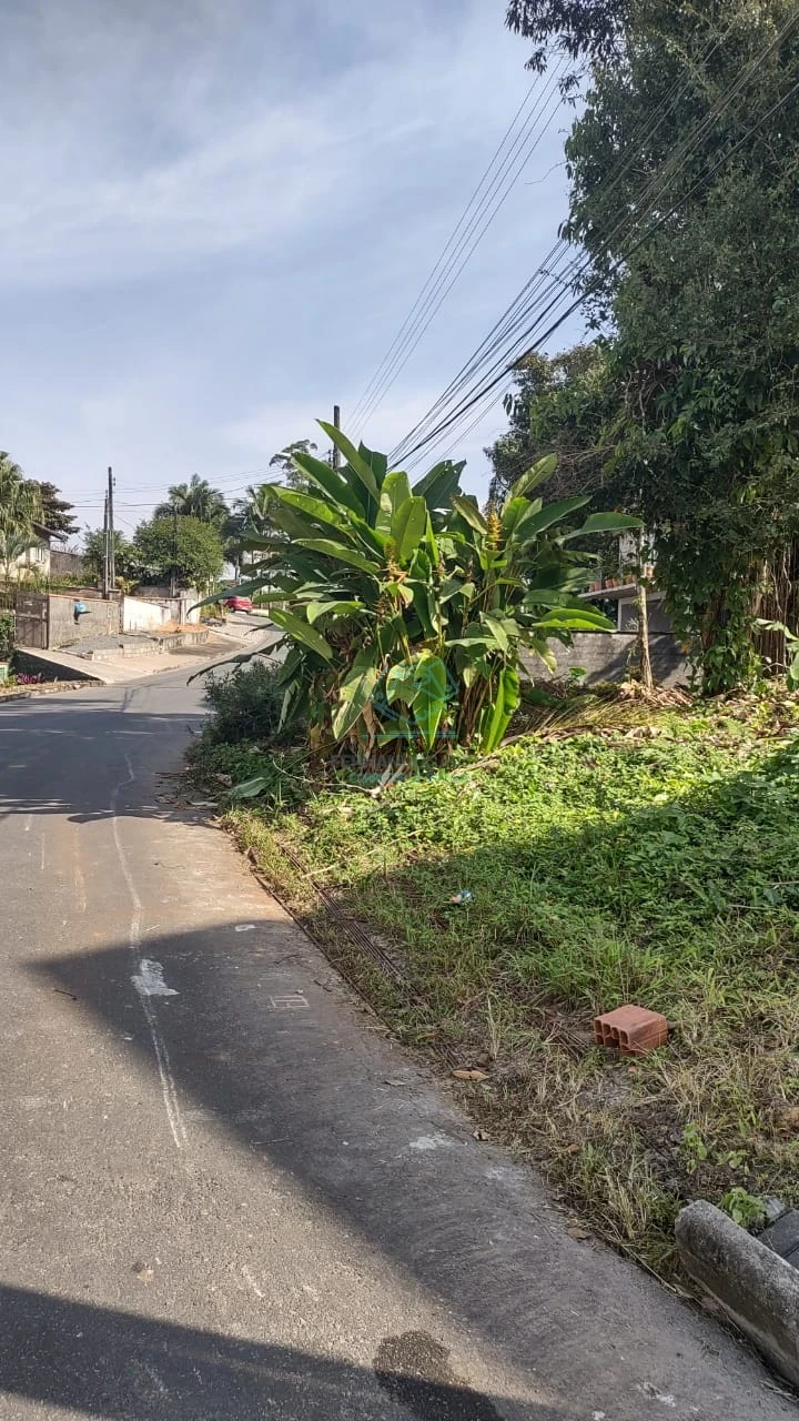Terreno à venda no Anita Garibaldi, Joinville