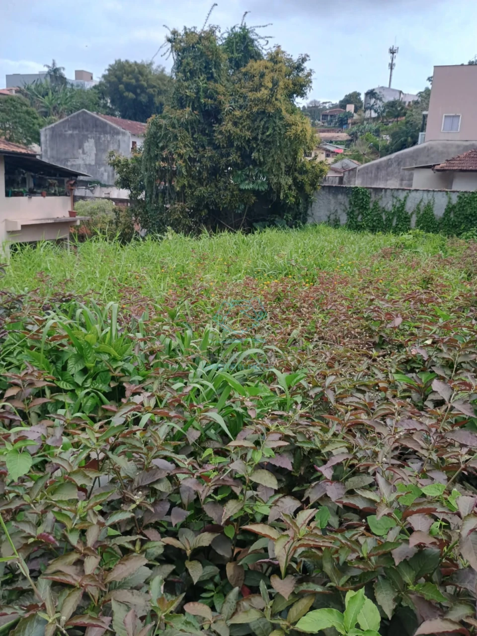 Terreno à venda no Floresta, Joinville