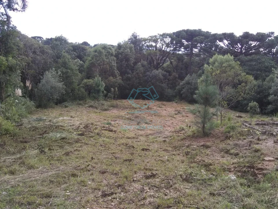 Chácara / sítio com 1 quarto à venda no Matulão, Tijucas do Sul