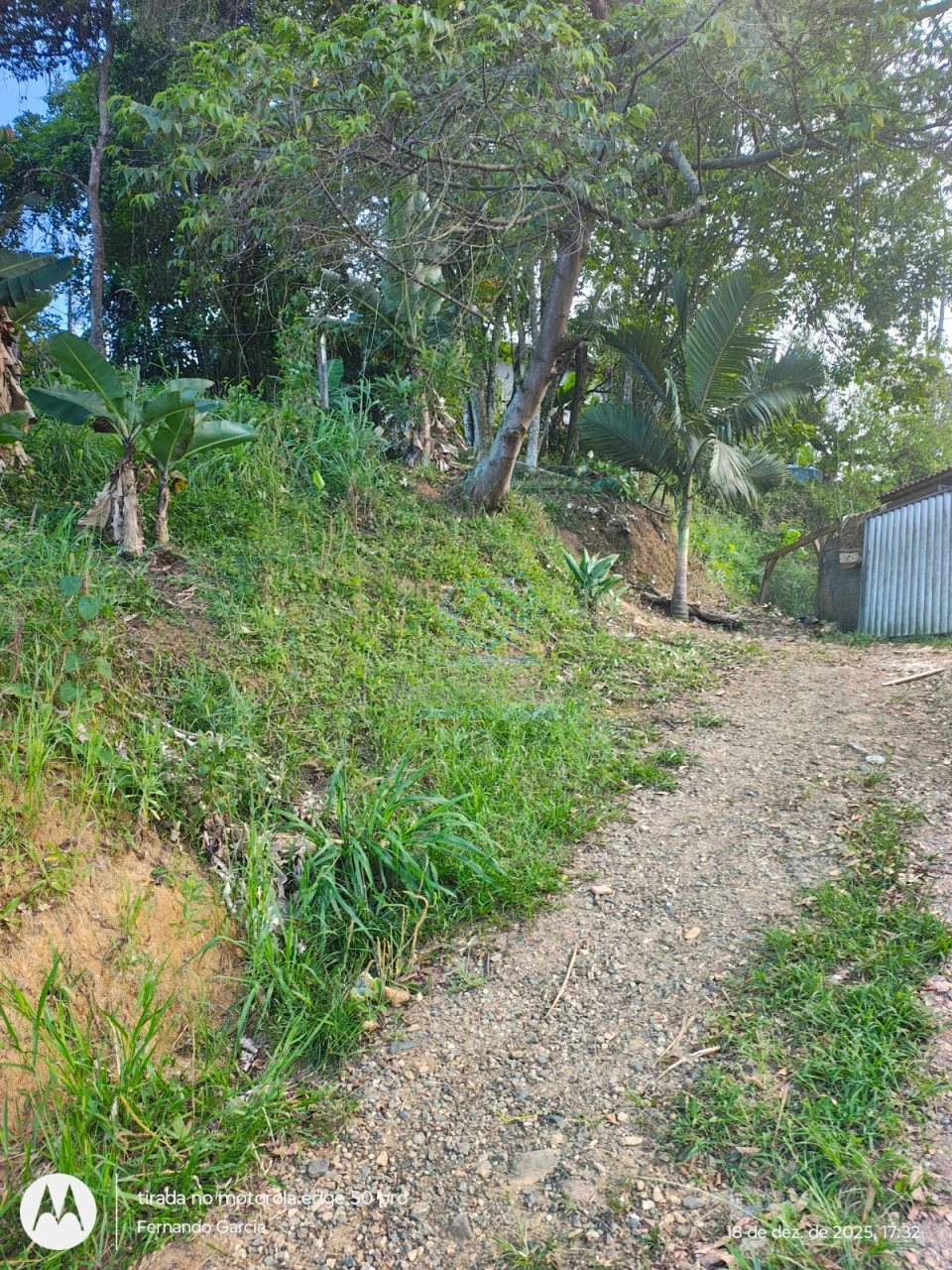 Terreno à venda no Boehmerwald, Joinville