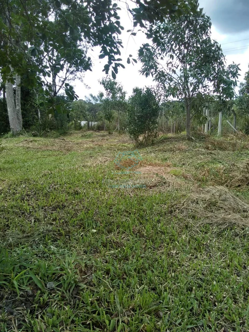 Chácara / sítio com 1 quarto à venda no Matulão, Tijucas do Sul