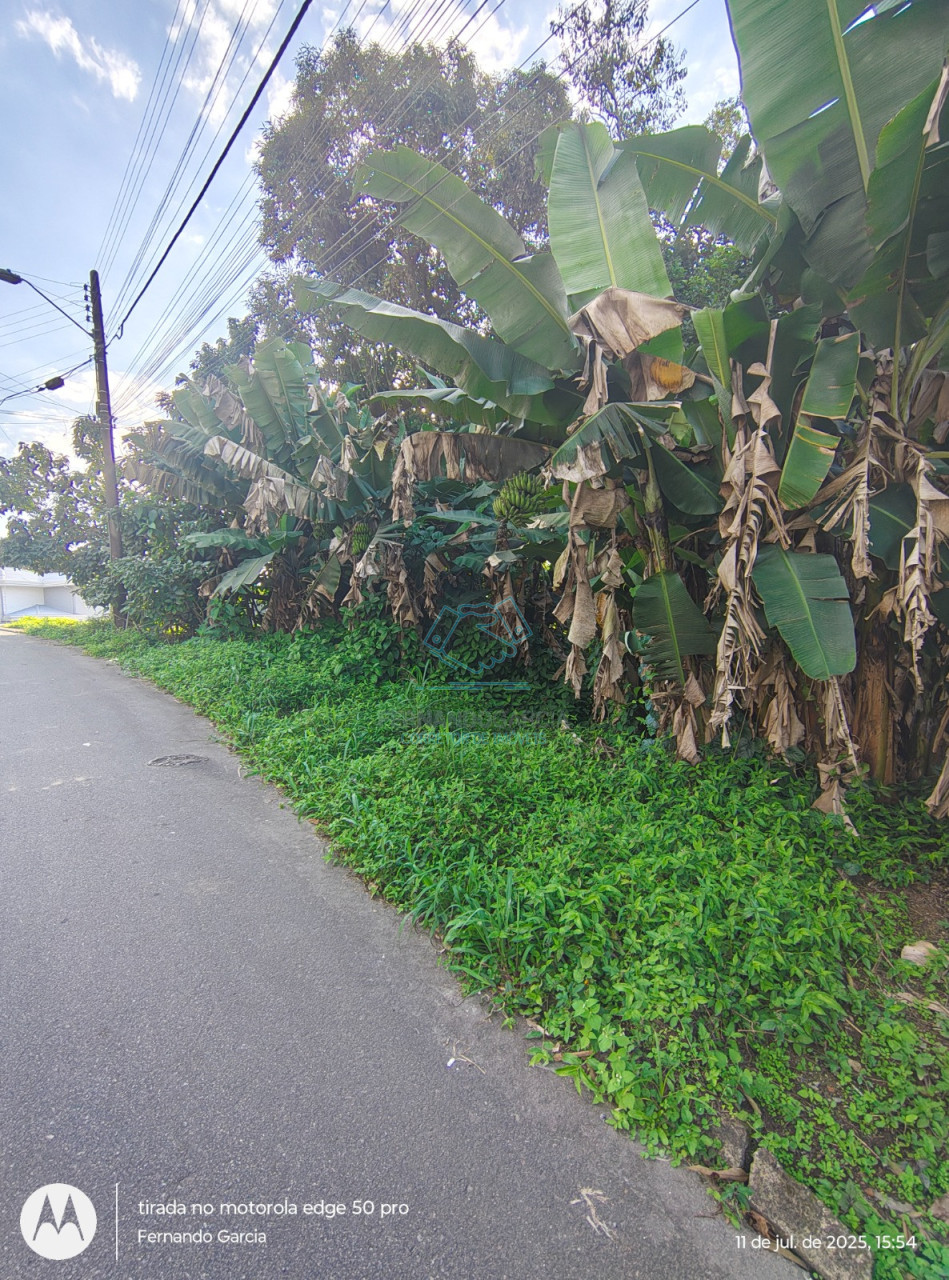 Terreno à venda no Anita Garibaldi, Joinville