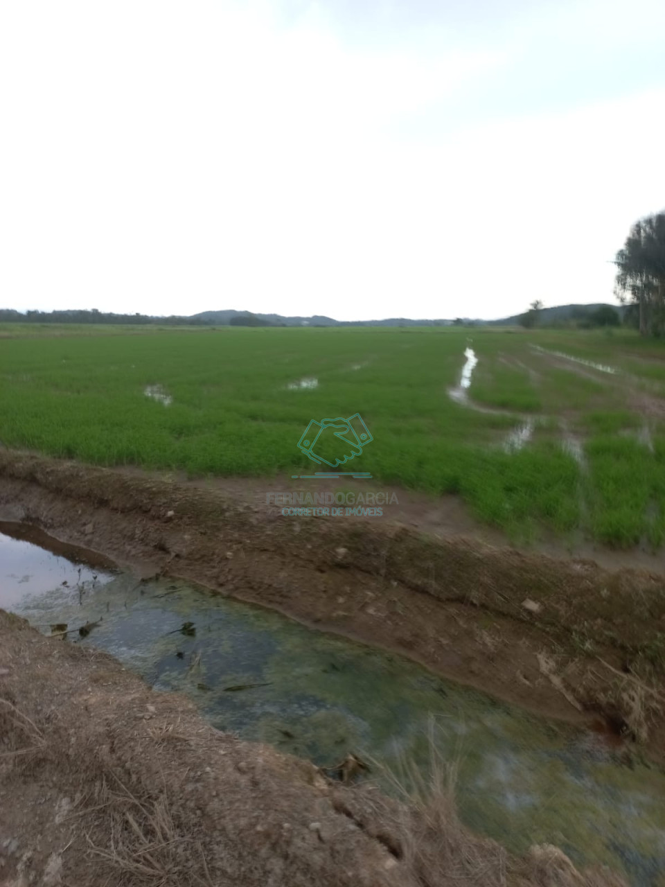 Terreno à Venda na Estrada Blumenau, Bairro Vila Nova