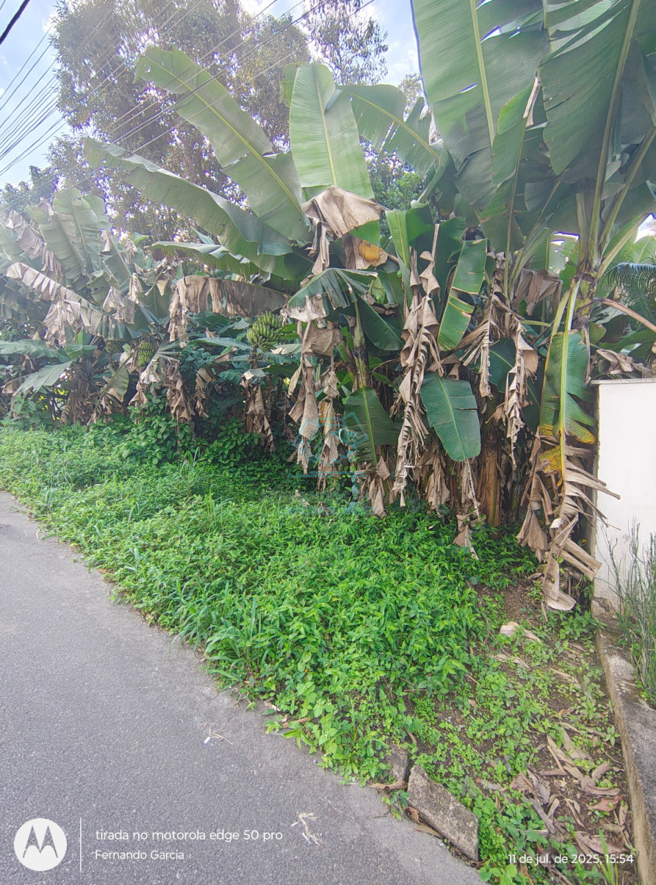 Terreno à venda no Anita Garibaldi, Joinville