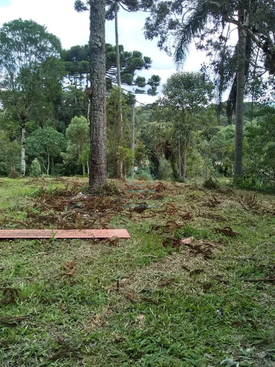 Chácara / sítio com 1 quarto à venda no Matulão, Tijucas do Sul