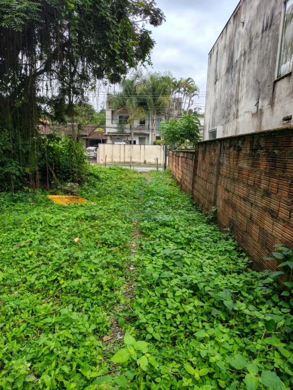 Terreno à venda em Santa Catarina, Joinville