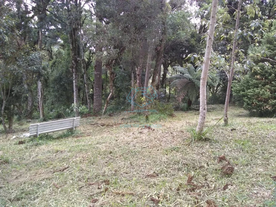 Chácara / sítio com 1 quarto à venda no Matulão, Tijucas do Sul