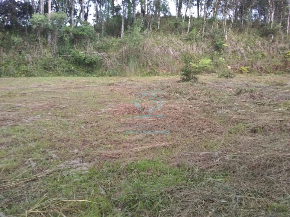 Chácara / sítio com 1 quarto à venda no Matulão, Tijucas do Sul