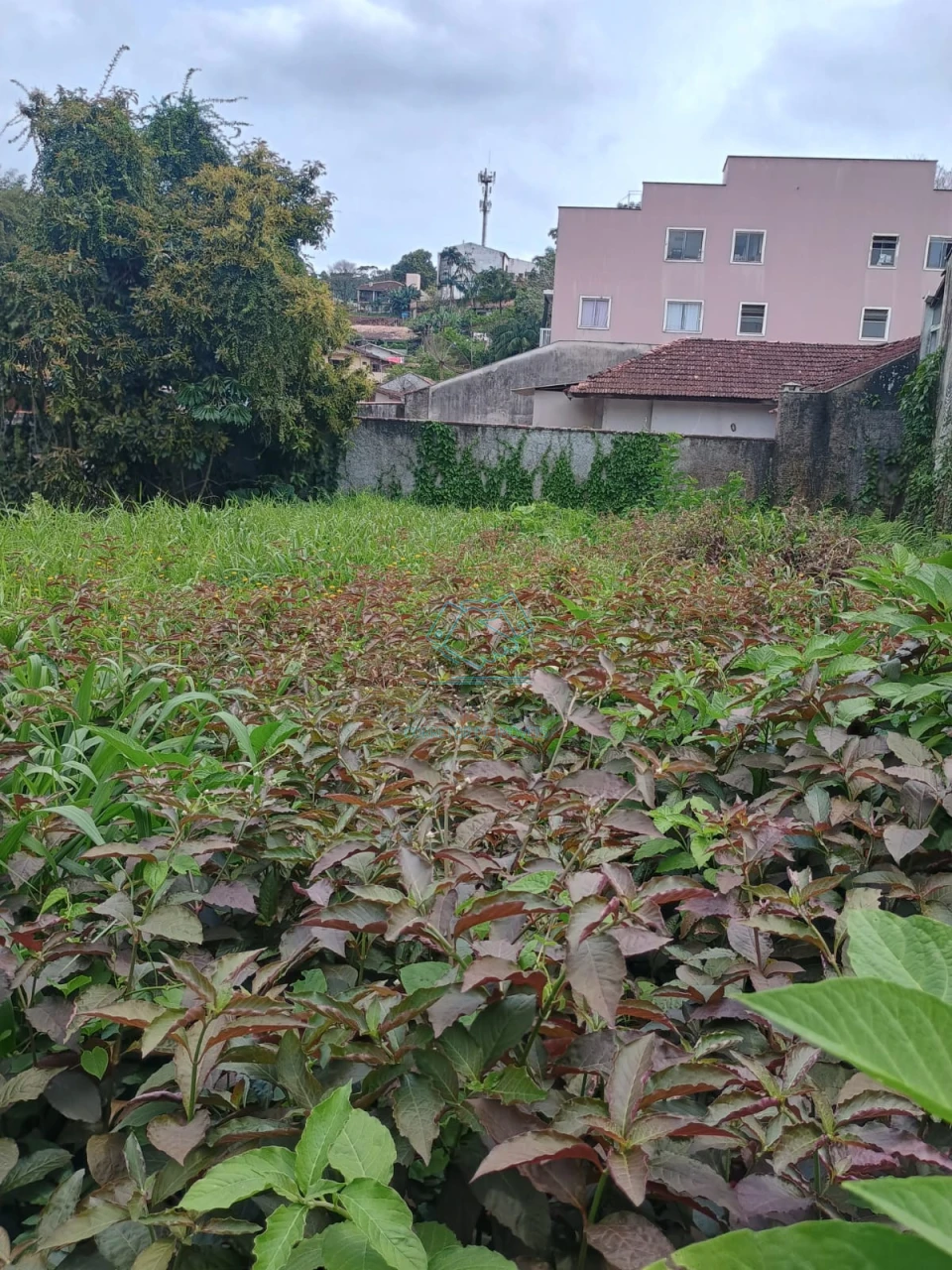 Terreno à venda no Floresta, Joinville