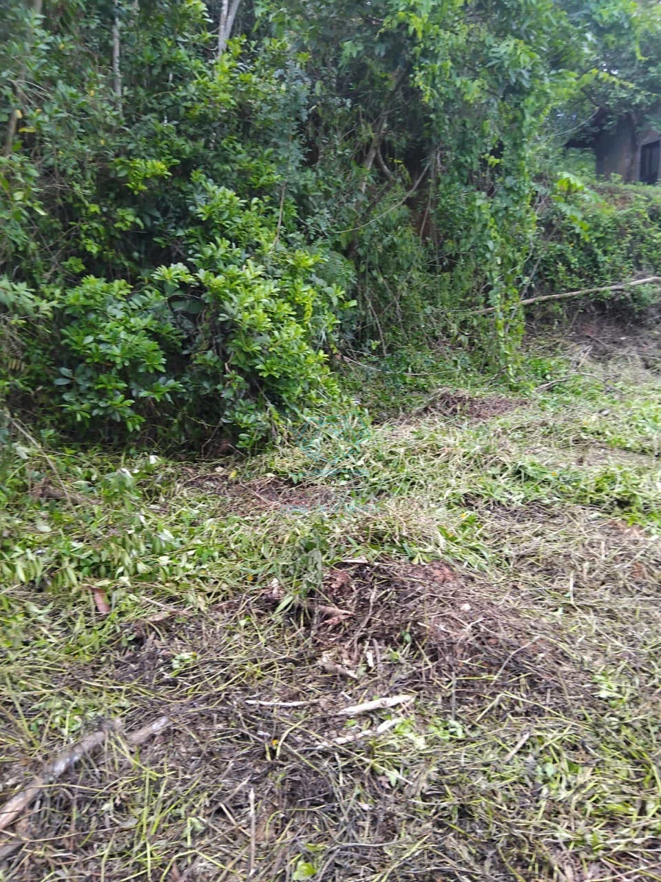 Terreno à venda – bairro boehmerwald aceita permuta no local