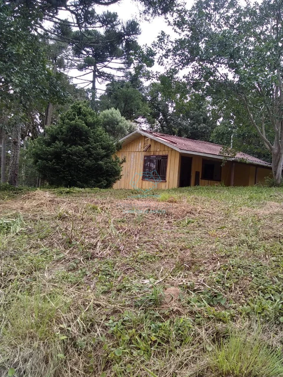 Chácara / sítio com 1 quarto à venda no Matulão, Tijucas do Sul