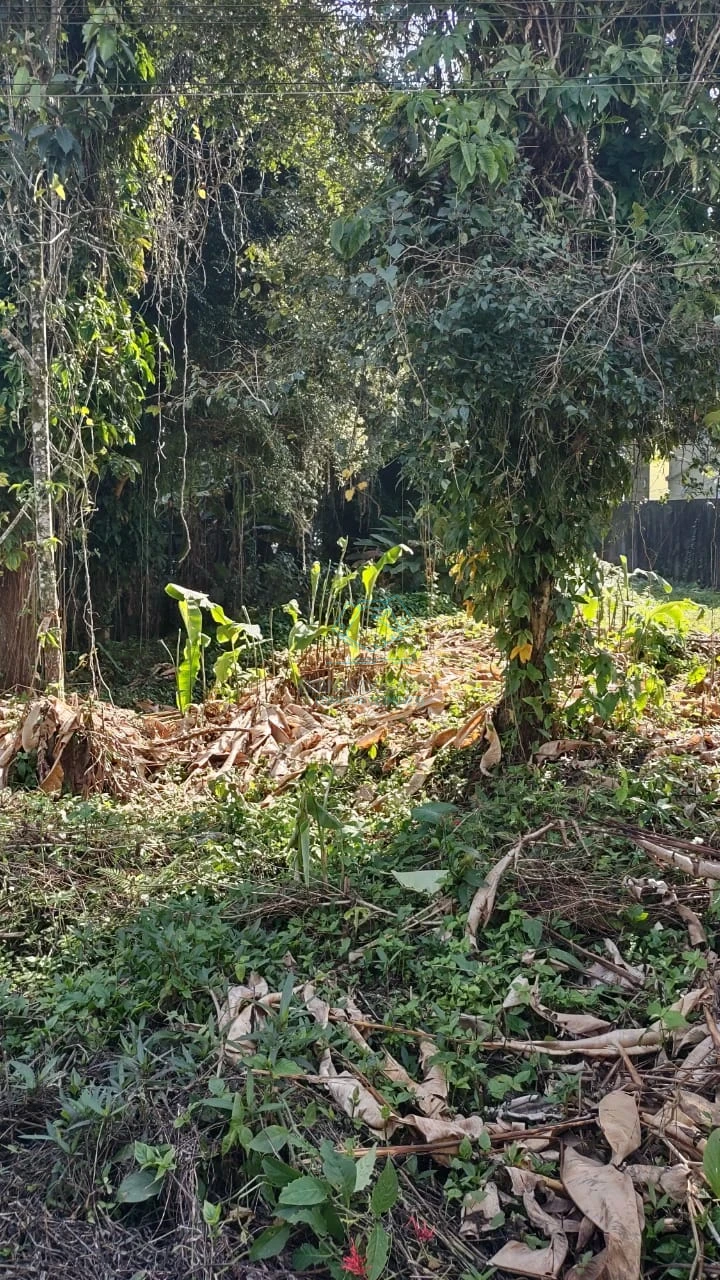 Terreno à venda no Anita Garibaldi, Joinville