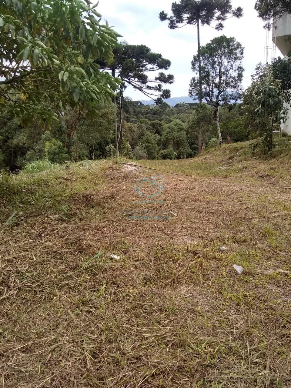 Chácara / sítio com 1 quarto à venda no Matulão, Tijucas do Sul