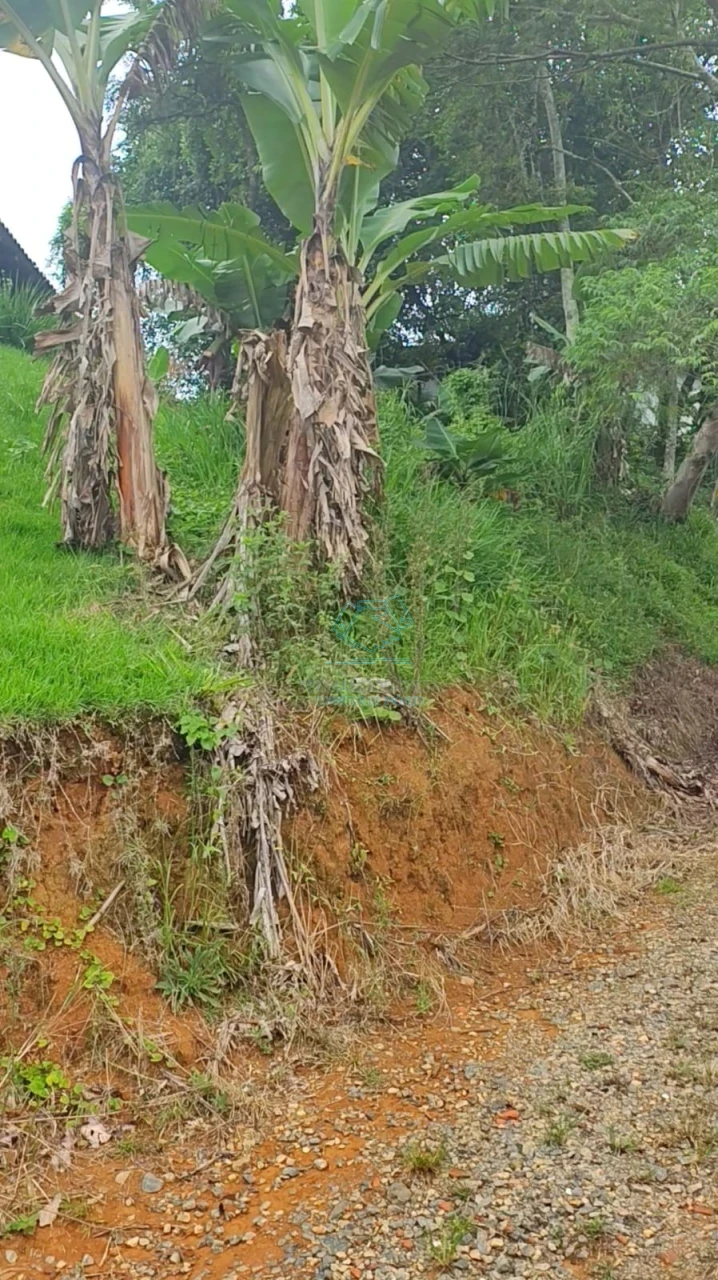 Terreno à venda no Boehmerwald, Joinville