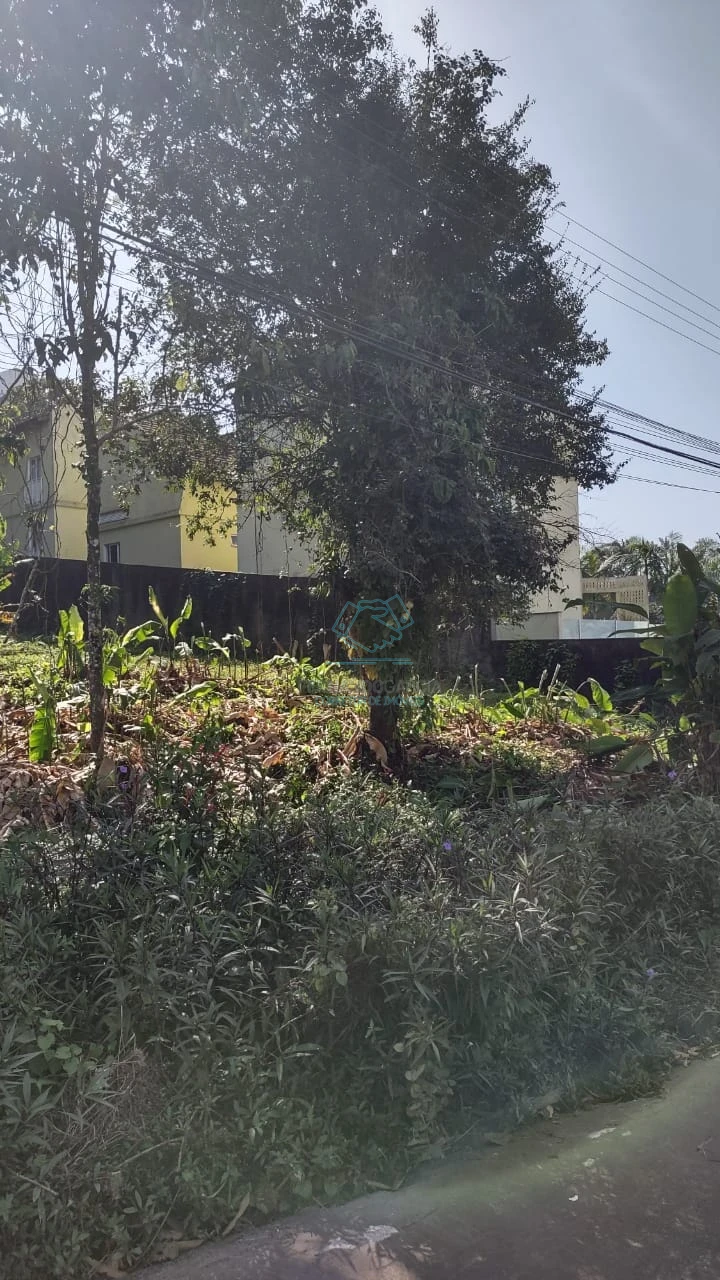 Terreno à venda no Anita Garibaldi, Joinville