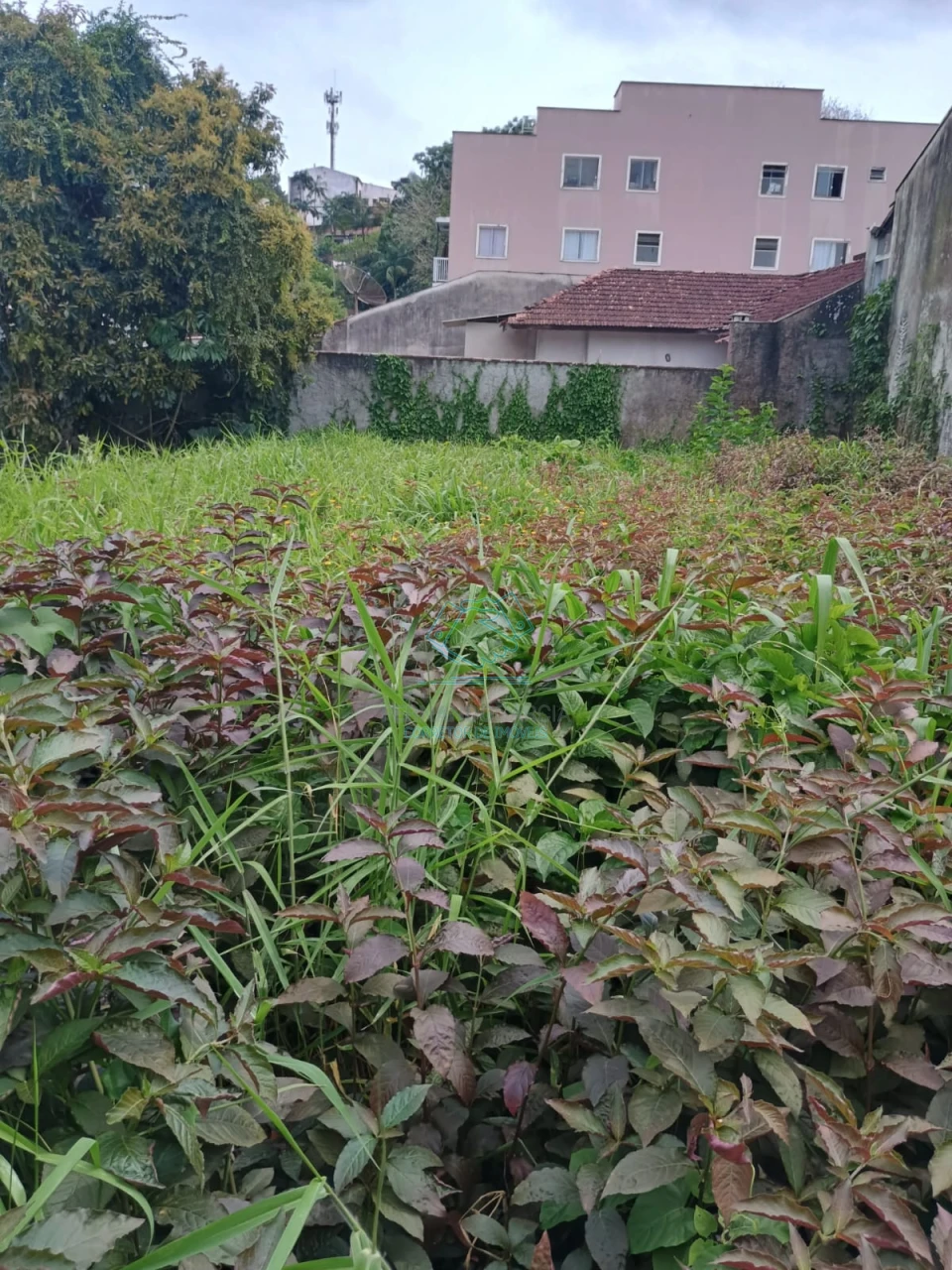 Terreno à venda no Floresta, Joinville
