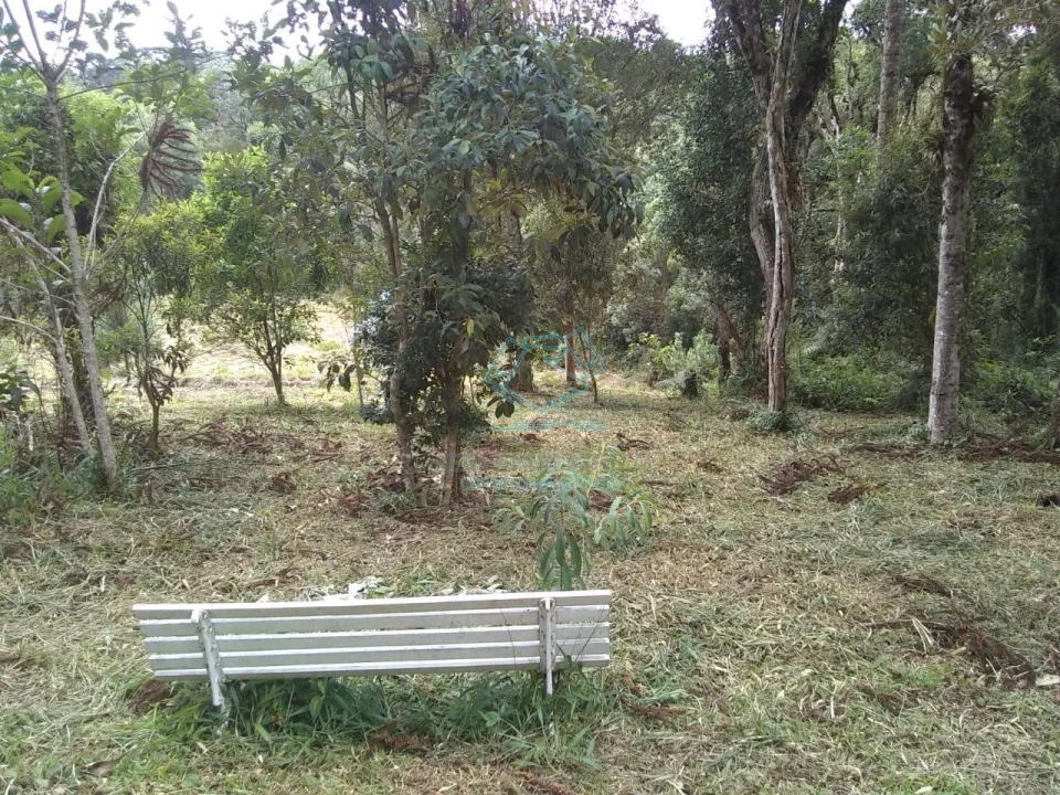 Chácara / sítio com 1 quarto à venda no Matulão, Tijucas do Sul