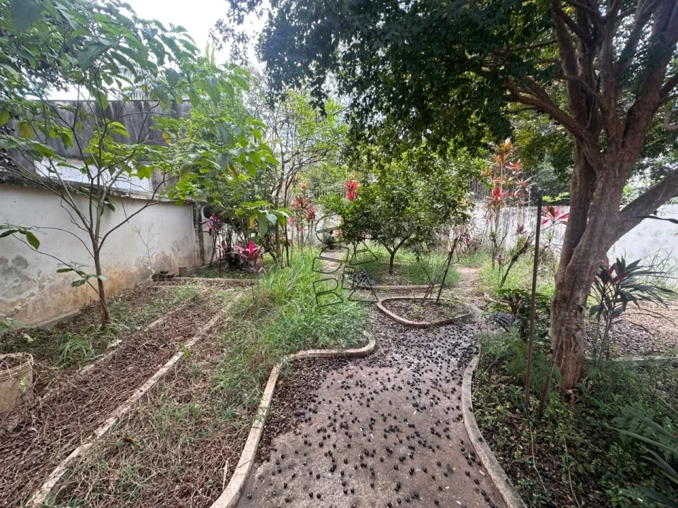 Imagens do imóveis Casa residencial à venda - Centro Limeira