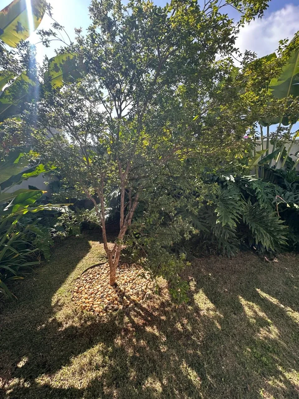 Imagens do imóveis Casa em condomínio à venda - Portal de São Clemente Limeira