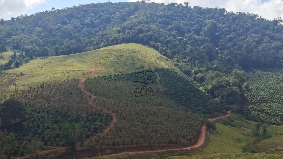 Imagens do imóveis Sitio à venda - Zona Rural de Bueno Brandão  / MG