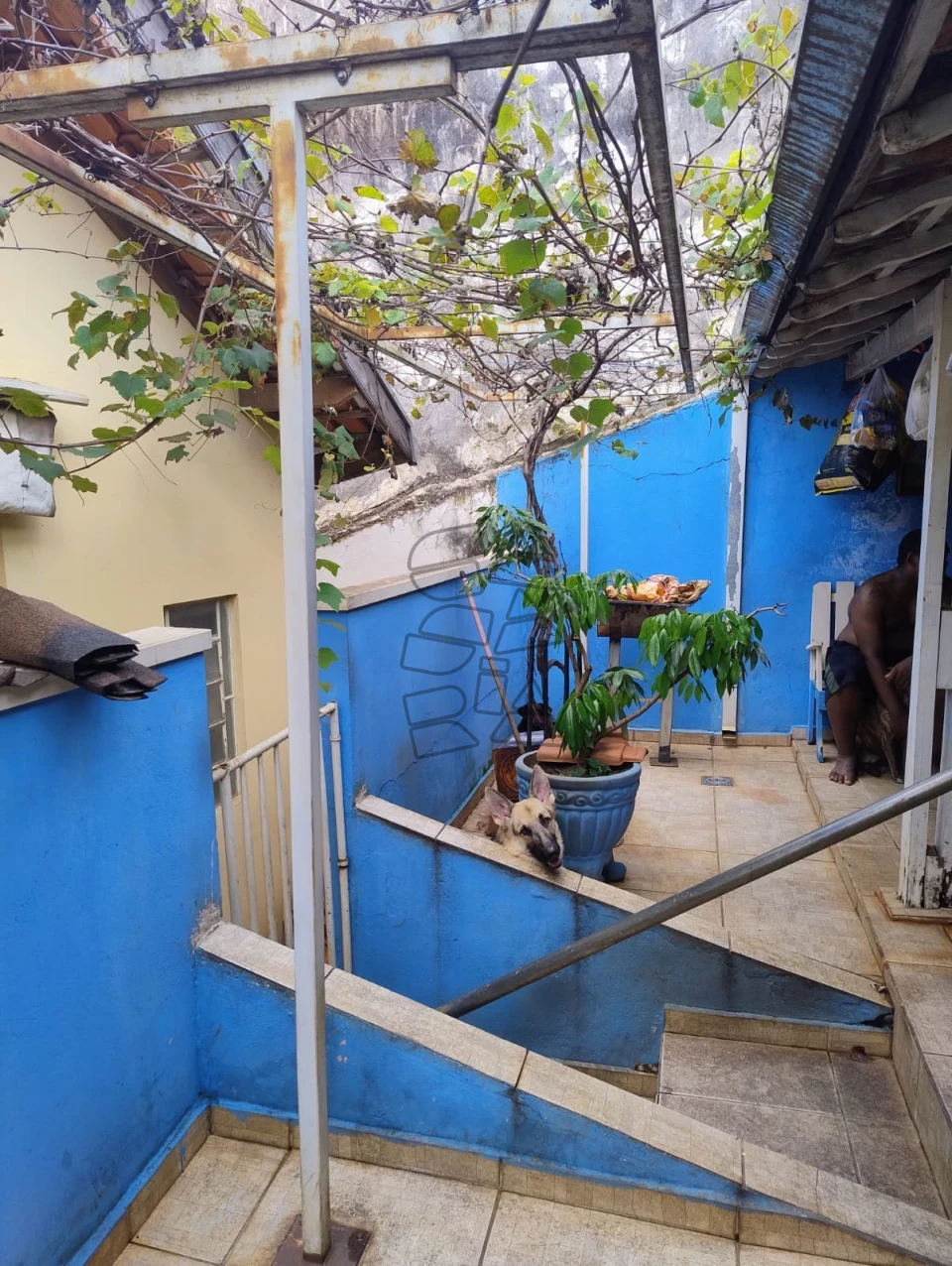 Casa Residencial à venda - Cidade Jardim Limeira